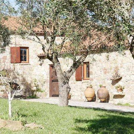 Pines Of Salgado Beachview By Book Yourholiday Pt * Nazaré