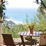 Pines Of Salgado Beachview By Book Yourholiday Pt Nazare