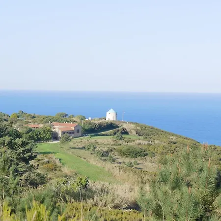 Pines Of Salgado Beachview By Book Yourholiday Pt Nazaré