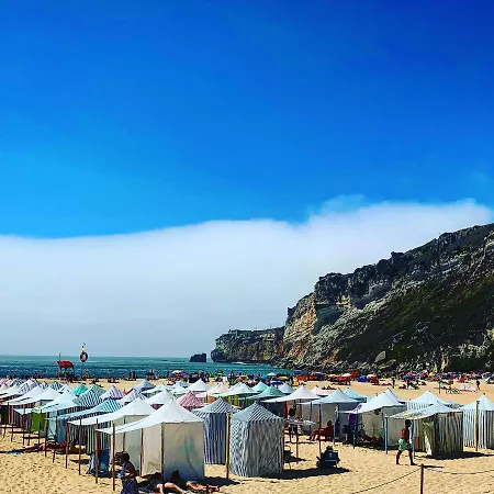 Pines Of Salgado Beachview By Book Yourholiday Pt Villa *